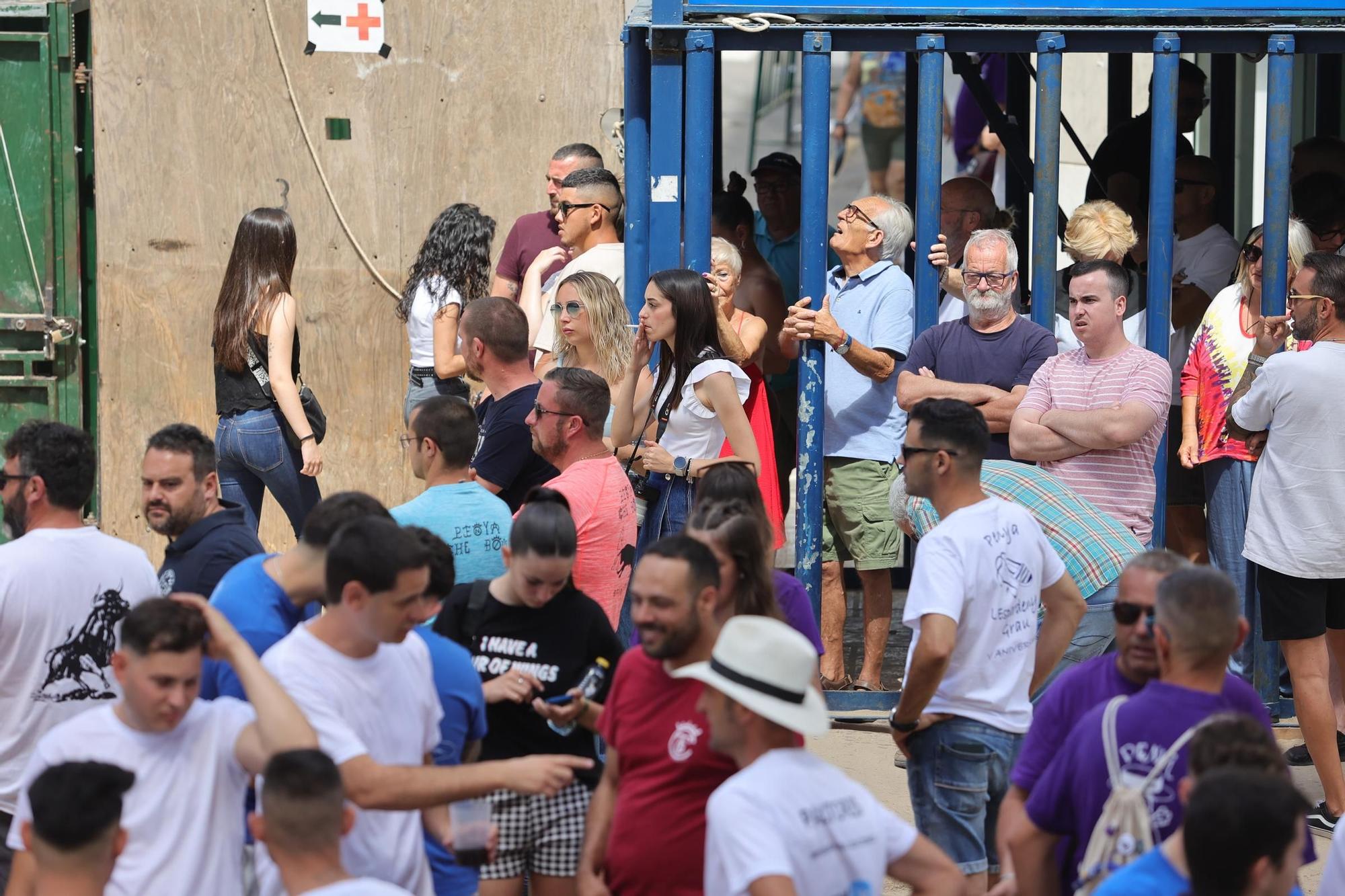 Encierro de cerriles en las fiestas de Sant Pere del Grau