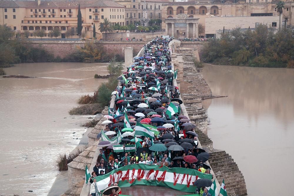 Unas 2.000 personas marchan en Córdoba para que "Andalucía despierte"