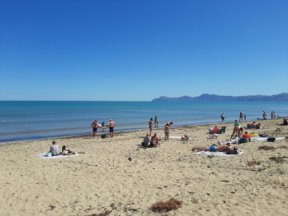 FOTOS | Mallorca se adelanta al verano: Son Bauló, en Can Picafort, se llena de bañistas