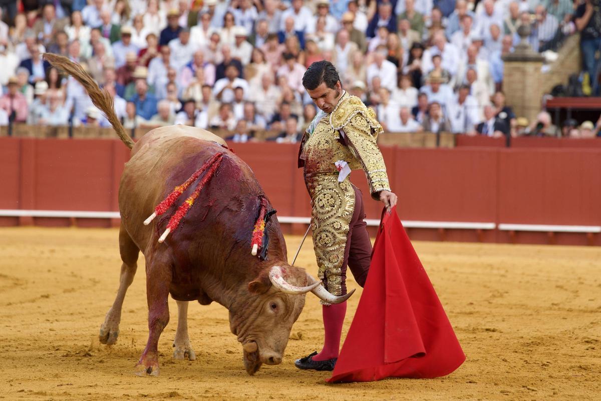 Gran natural de Morante en Sevilla, el pasado jueves.