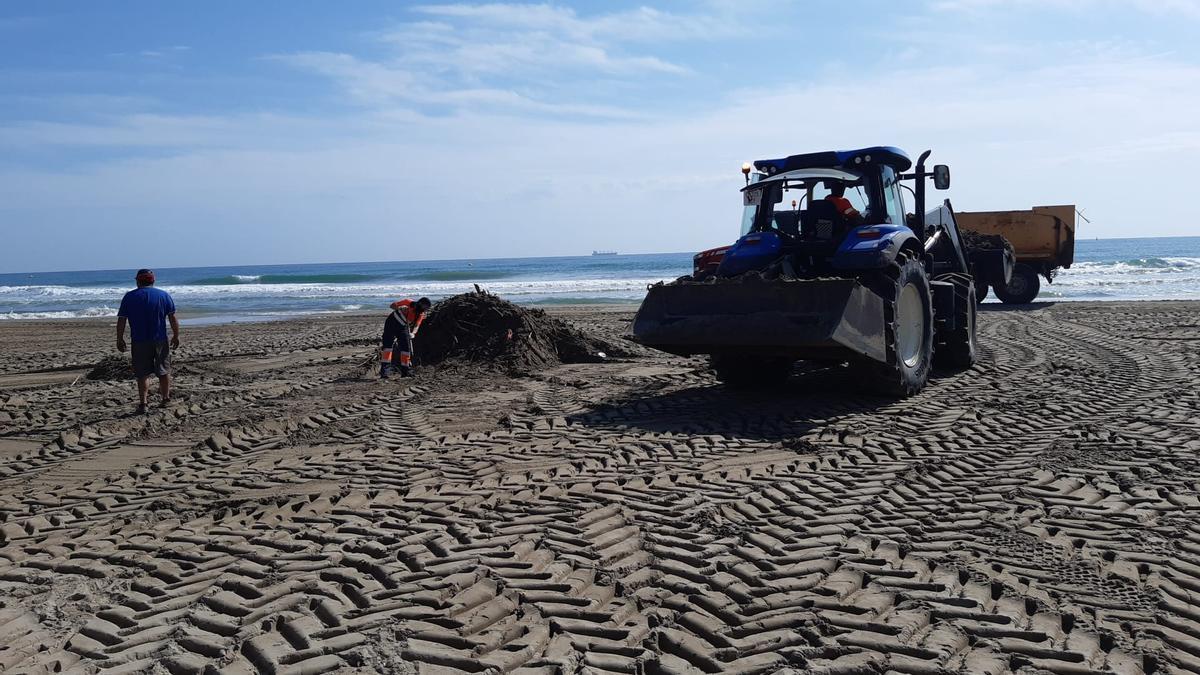 Varios operarios de la UTE Saneamiento Urbano, realizando las tareas de adecuación de las playas de la capital de la Plana