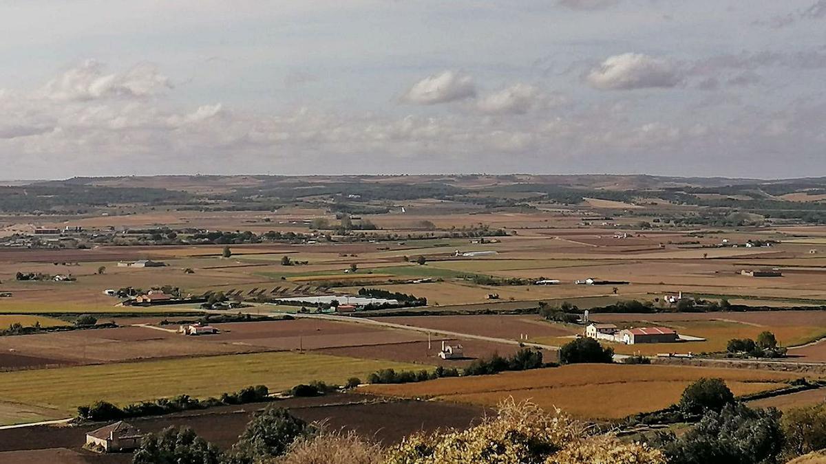 Vega de Toro en la que está previsto implantar una línea de alta tensión para evacuar energía fotovoltaica. | M. J. C.