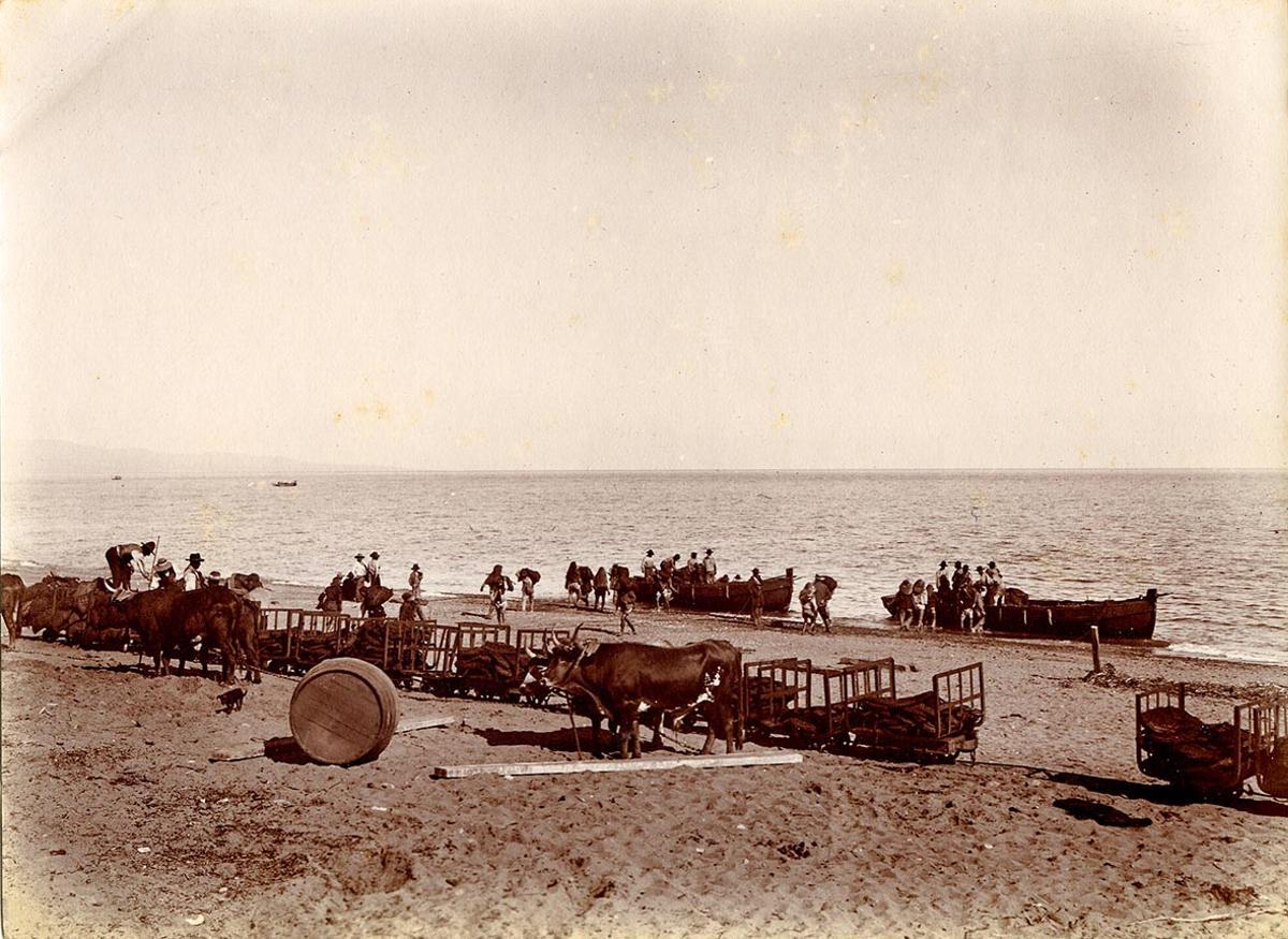 Descarga de un vapor carbonero, en marzo de 1899, la prueba gráfica del ferrocarril.