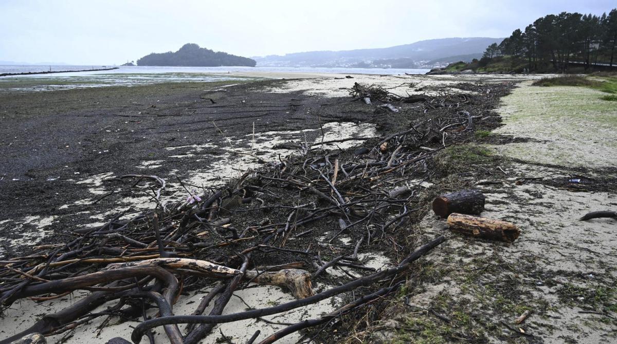 Troncos y maleza arrastrados por las lluvias y la marea hasta la playa de Lourido, en Poio.
