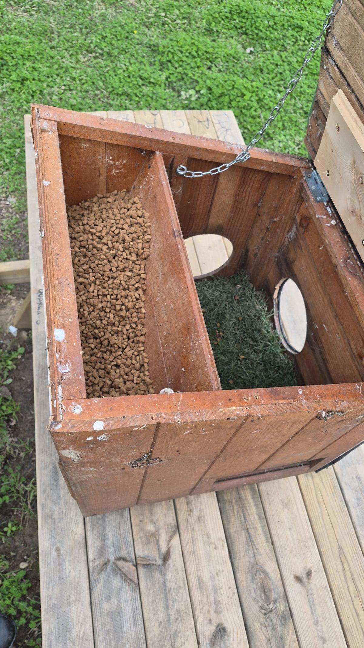 Comida para la colonia felina.