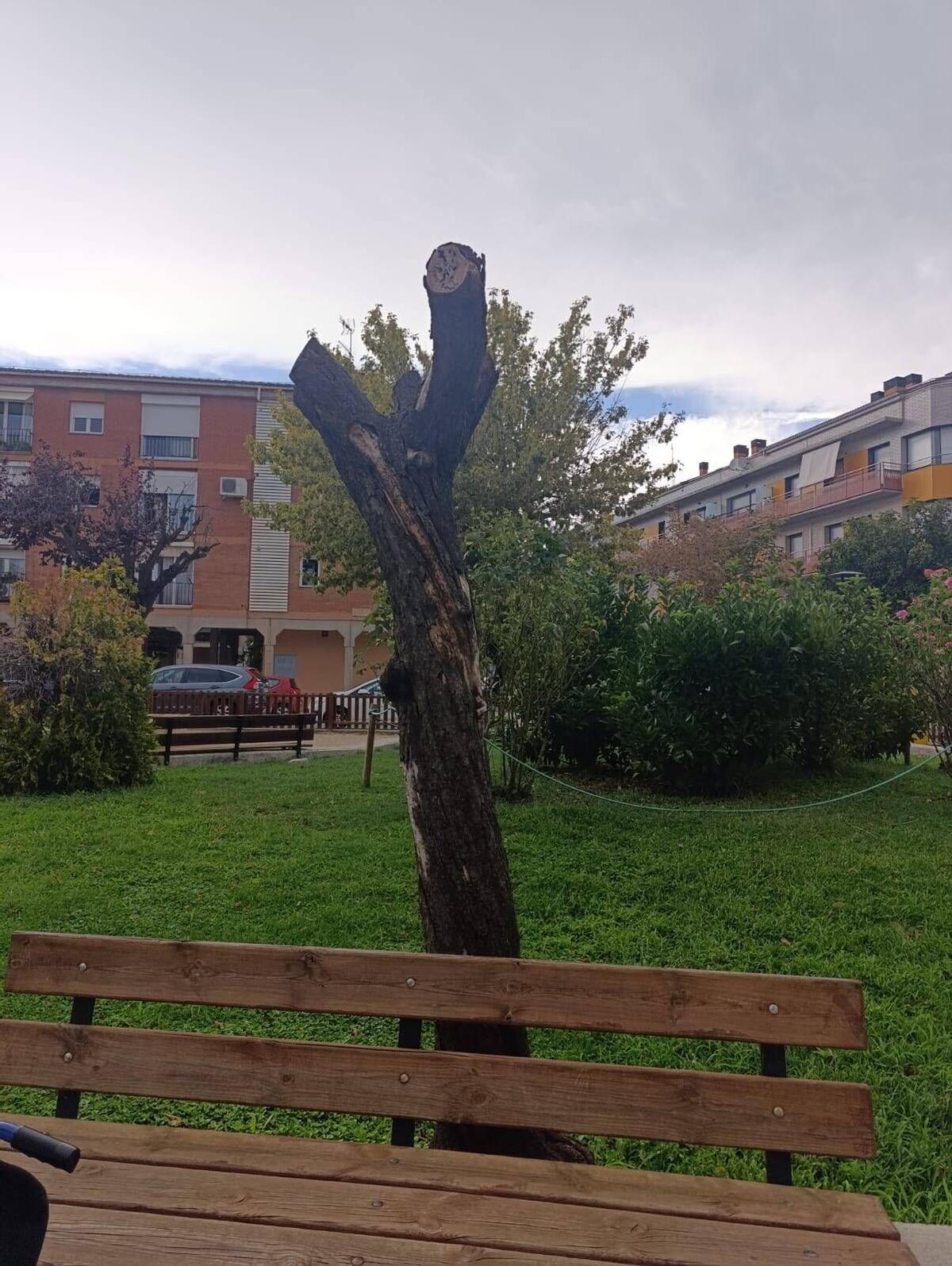 La plaça de la Pau, a Santpedor, amb pocs espais d'ombra