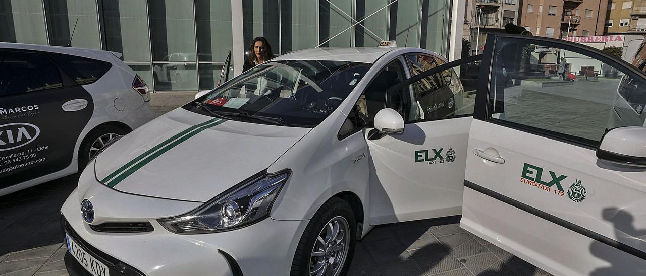 Los taxistas ilicitanos ya solo pueden apostar por comprar nuevos vehículos caracterizados por su baja contaminación. | ANTONIO AMORÓS