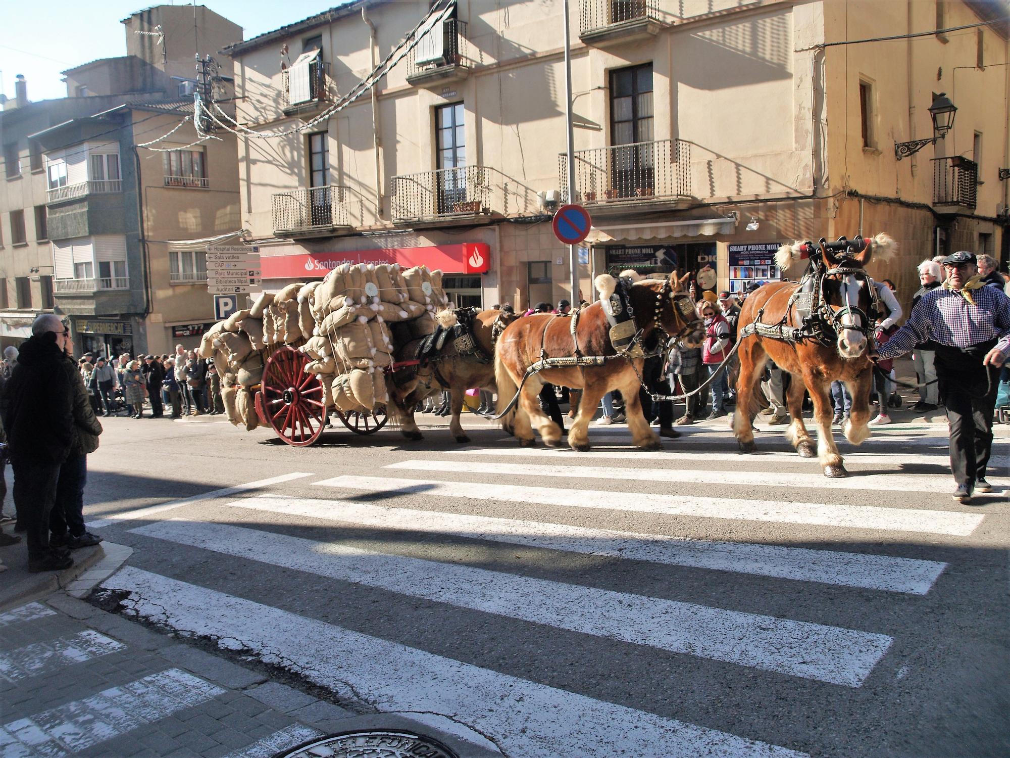 Festa dels Tres Tombs de Moià