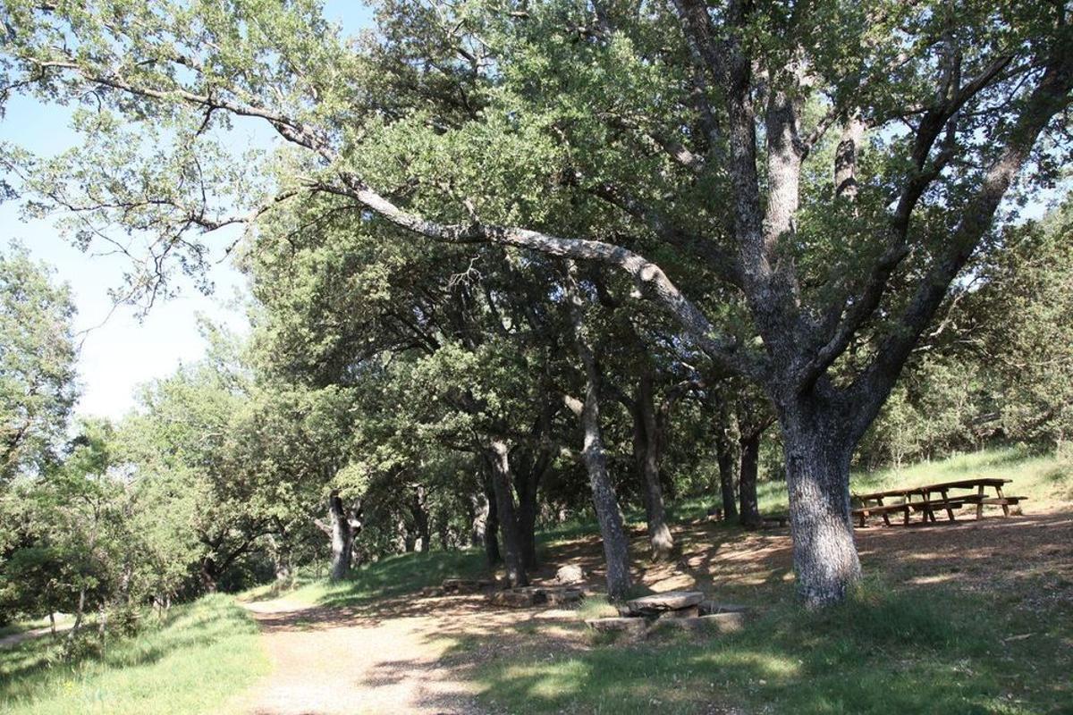 Entorno natural de Benassal.