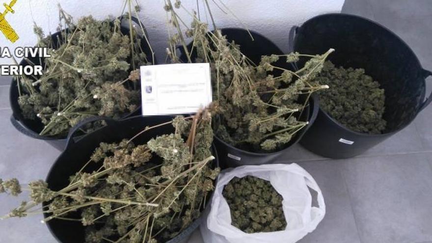 Cultiva marihuana en una finca de Benicàssim