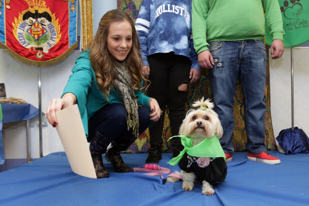 La primera falla canina de València