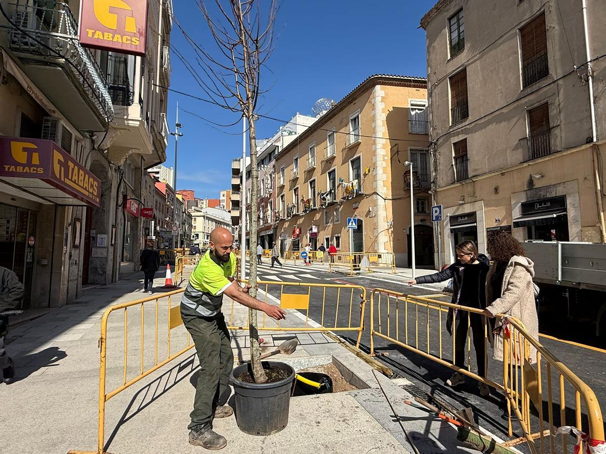 Les regidores Carme Martínez i Núria Bartrolich observant la plantació d'arbres