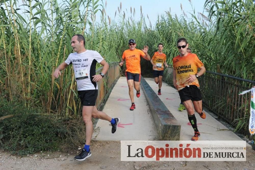 Media maratón y 10K de Molina de Segura