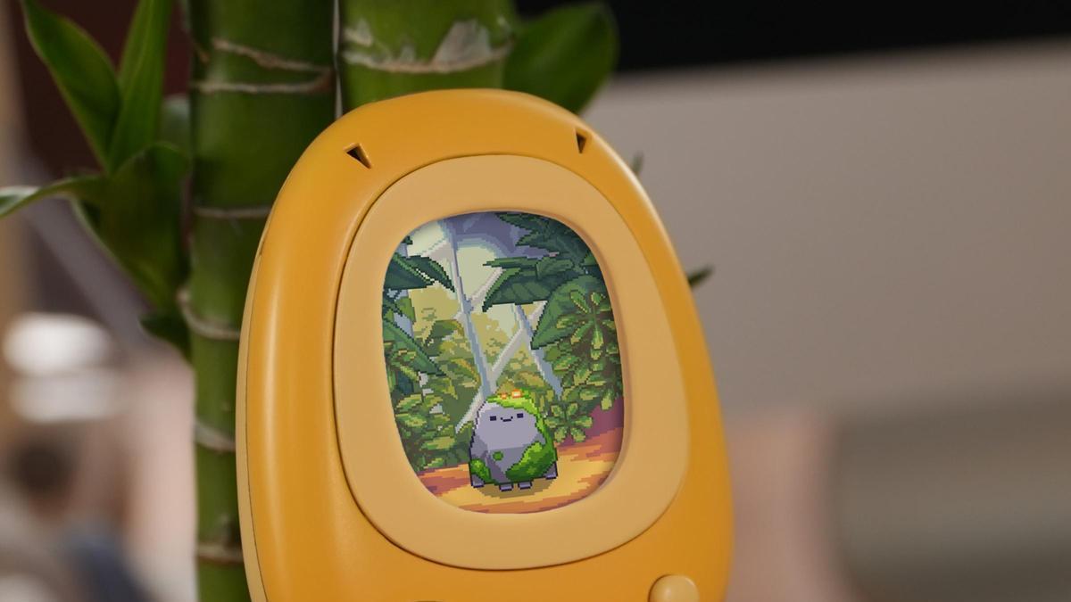 PlantSenso para plantas.