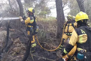 Un incendio forestal quema 0,16 hectáreas de pinar en Cala Rajada