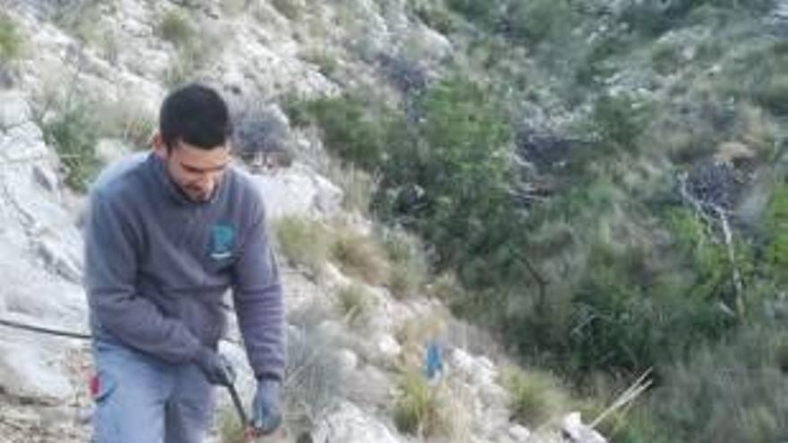 Uno de los trabajadores riega un plantón protegido.