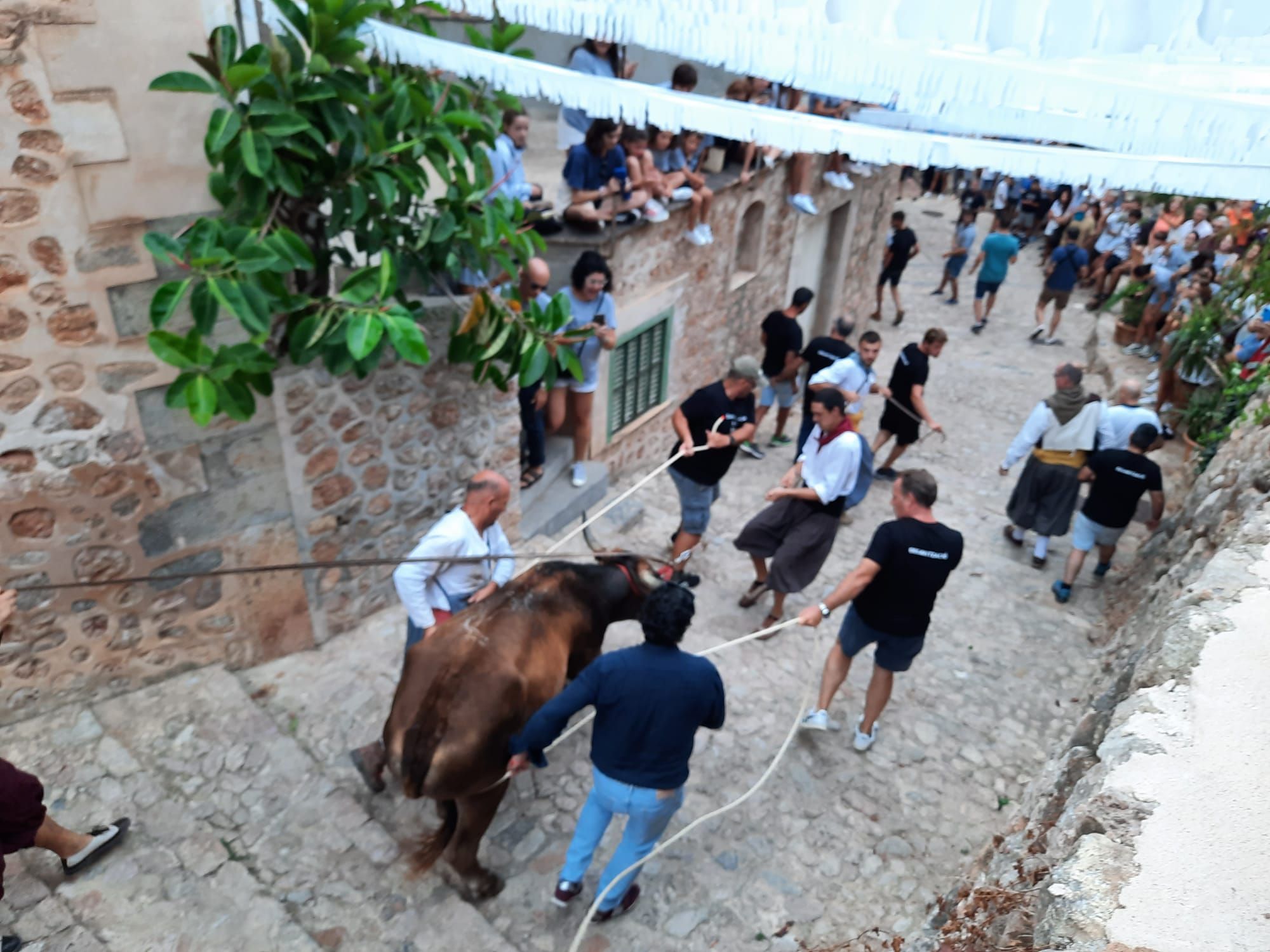 Vuelve el correbou a Fornalutx