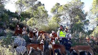 La Federación de Caza logra que se pueda volver a cebar en los cotos con sobreabundancia de jabalí