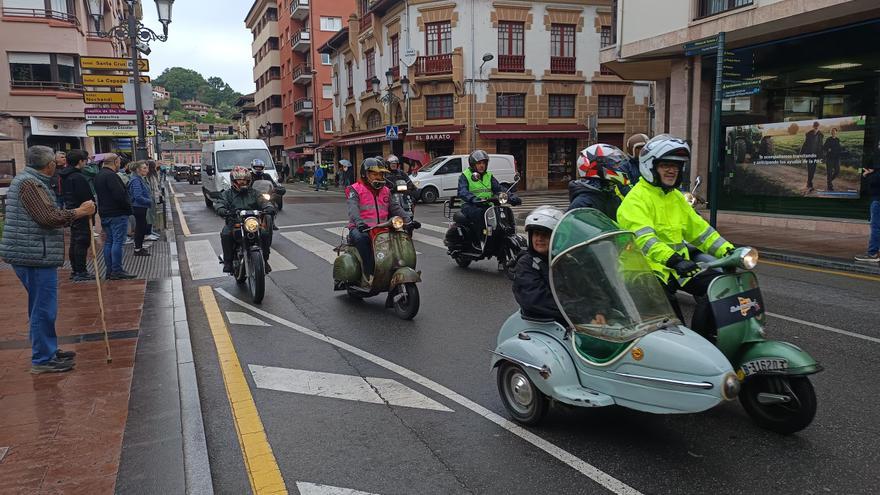 Invasión de Vespas en Cangas de Onís y Covadonga