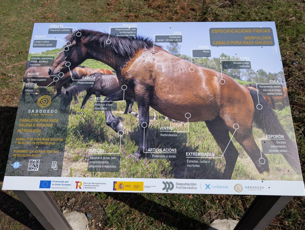 Nuevos carteles explicativos colocados en Sabucedo.