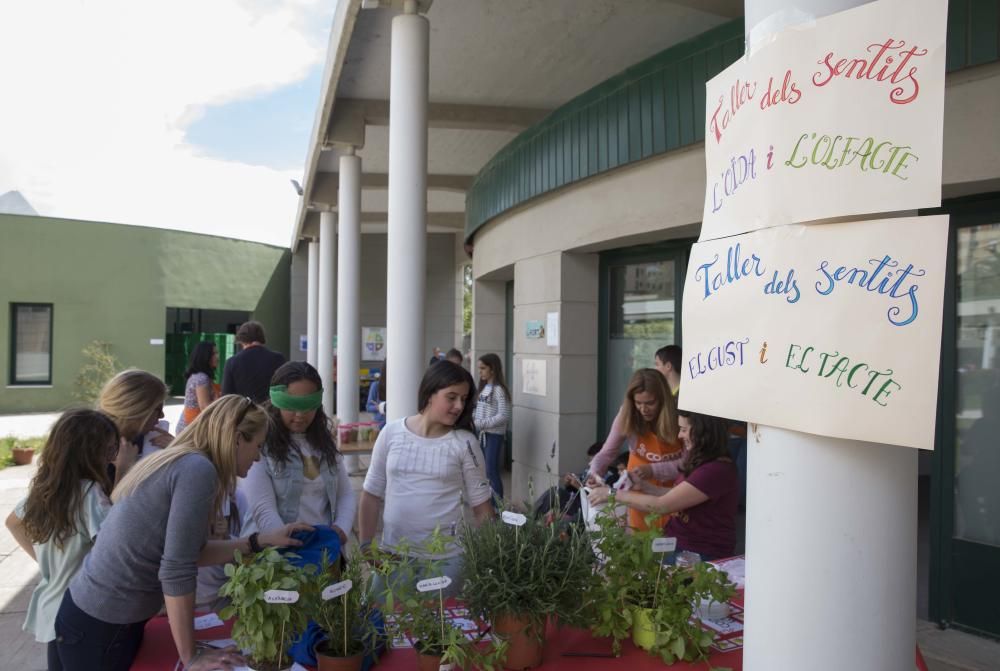 Primavera educativa en Valencia