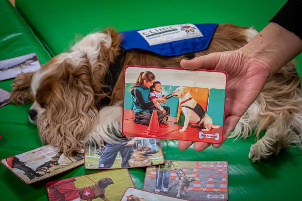 Terapia con perros, en el hospital de día de niños, en el Clínic