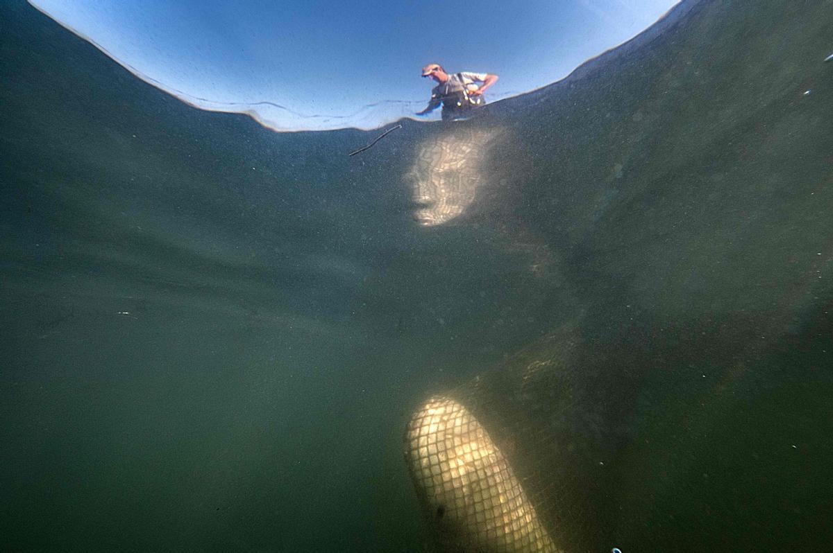 Jeremy Fuchs, el único pescador profesional del río Rin