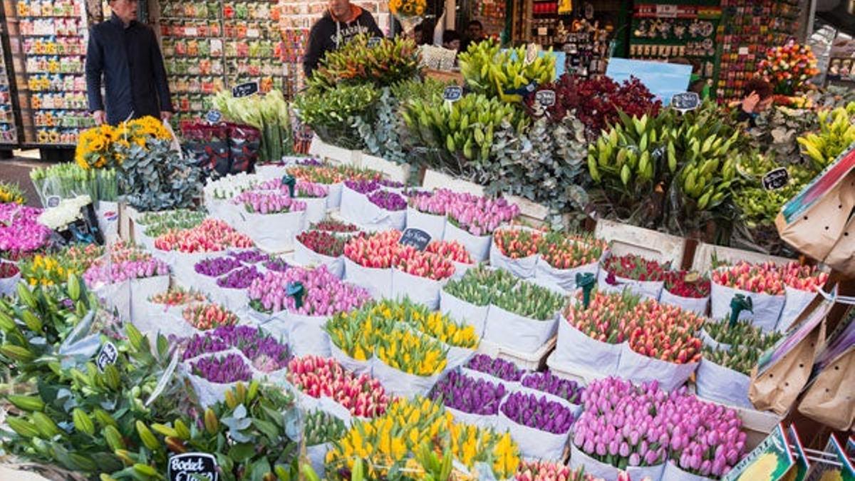 Mercado de flores