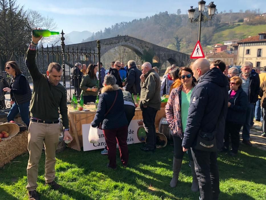 Cangas de Onís, con la sidra asturiana