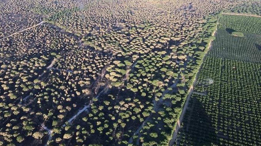 Se apagan las llamas y se enciende la polémica sobre el incendio de Doñana