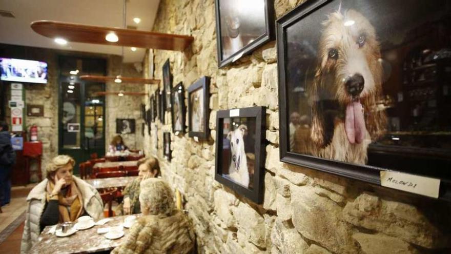 Unas clientas del bar charlan ante varias fotografías de perros que buscan hogar.