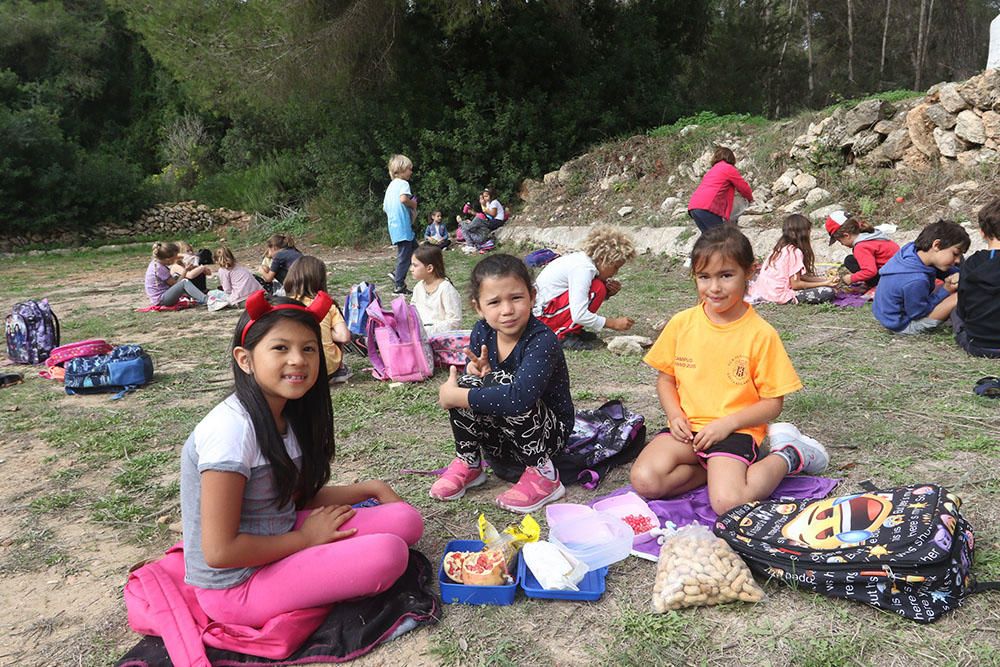 Trencada en Santa Gertrudis.