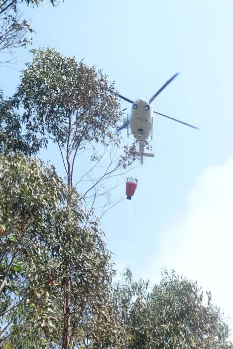 Incendio forestal en Cotobade