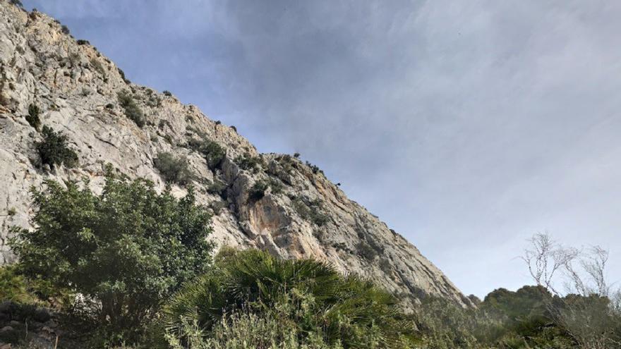 Zona de escalaba en El Chorro, Álora