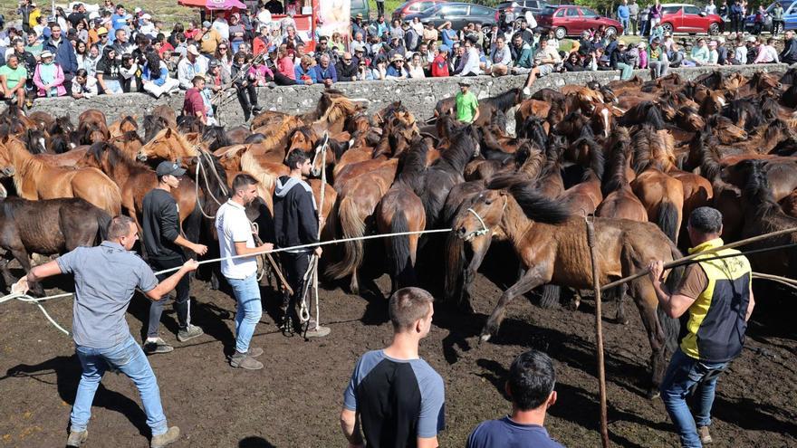 La temporada de curros arranca con 2.000 personas y 300 caballos en A Valga
