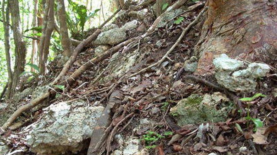 magen cedida por el Instituto Nacional de Antropología e Historia (INAH) , del sitio donde arqueólogos mexicanos comenzaron este mes el rescate de una gran ciudad maya sepultada bajo toneladas de tierra y selva en la zona arqueológica de Ichkabal en la península de Yucatán.