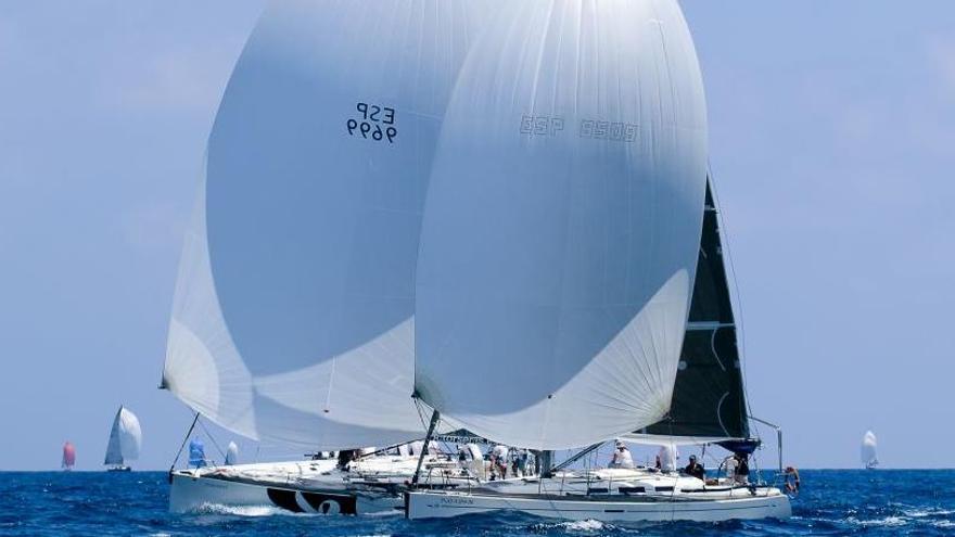 El Trofeo Aldebarán reúne este fin de semana en Alicante a 150 regatistas.