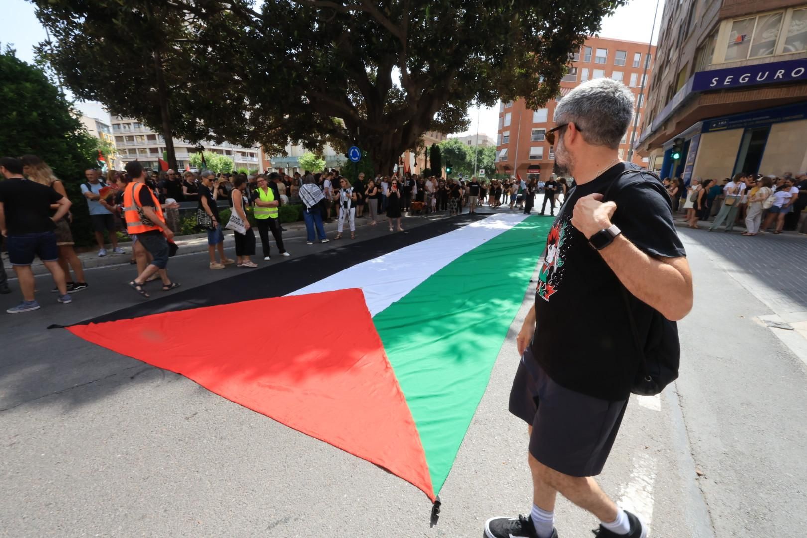 Manifestación a favor del pueblo palestino y la paz en Castellón