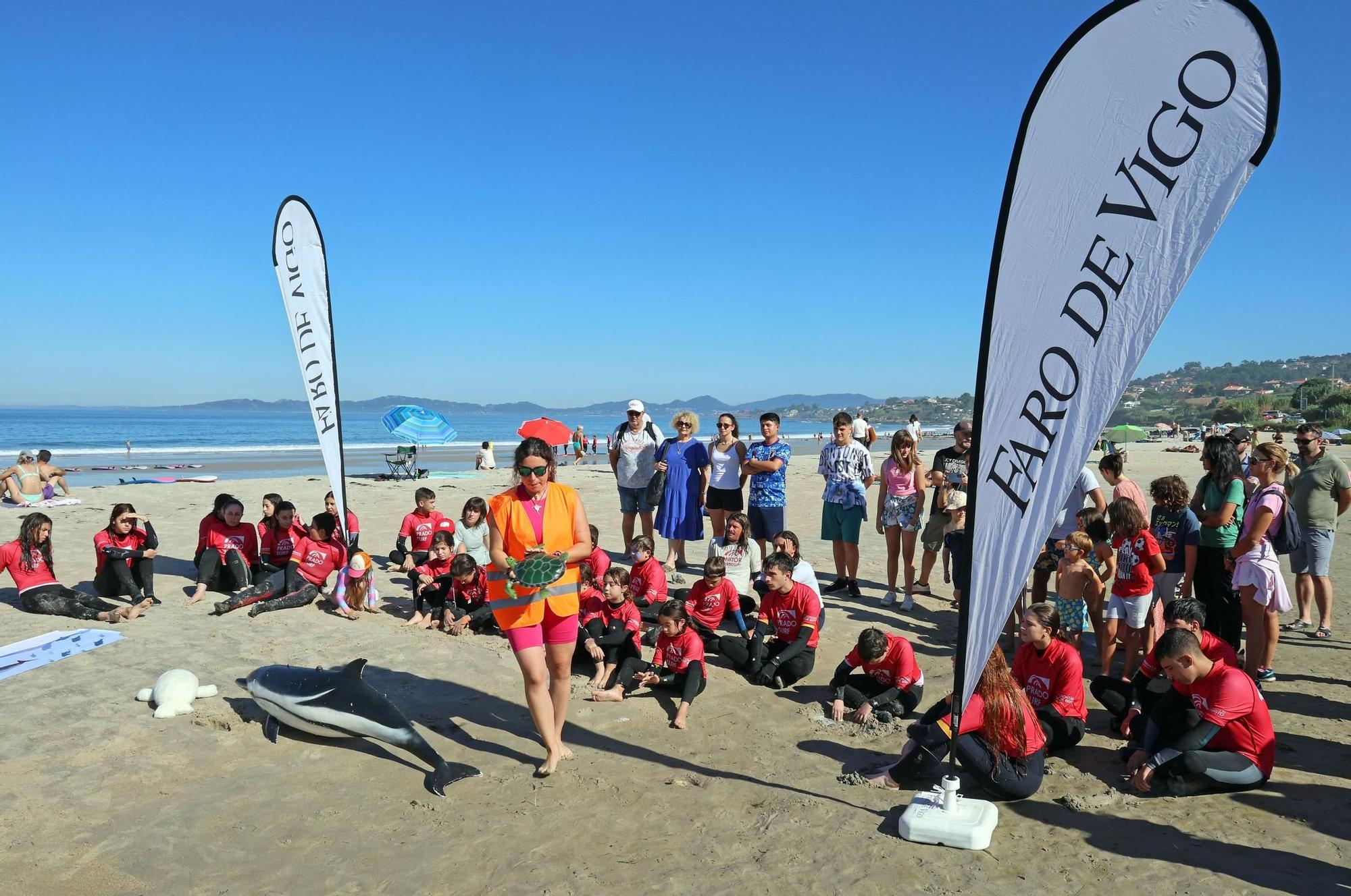 Una segunda vida  para los animales varados desde la playa de Nigrán