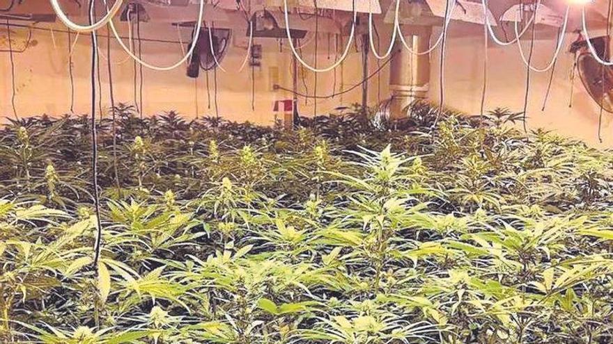 Cinco fraudes eléctricos al día: Endesa detecta 893 casos en la provincia de Badajoz en seis meses