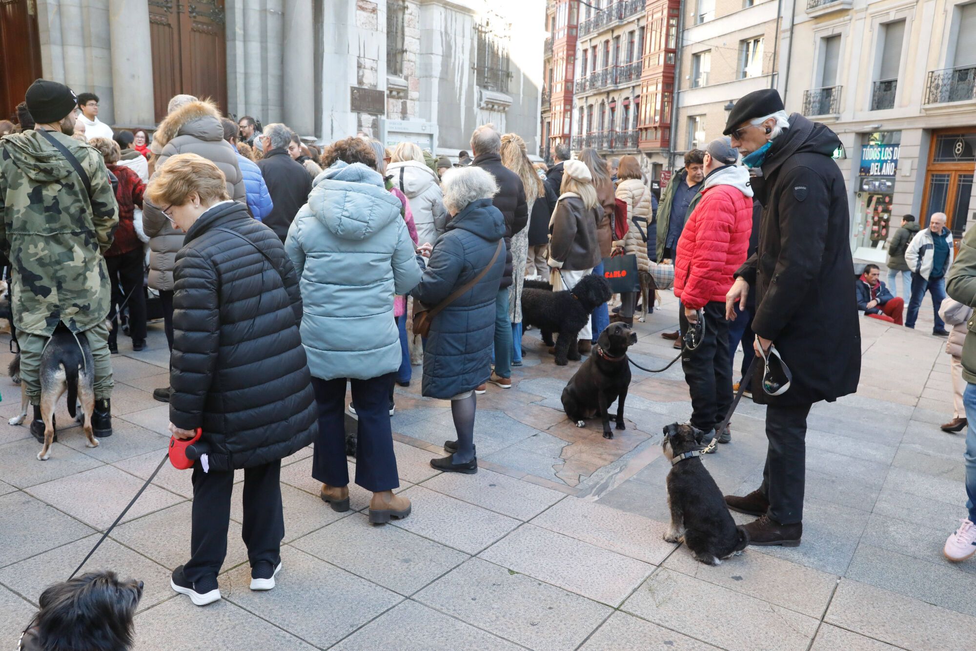 EN IMÁGENES: Bendición de mascotas por San Antón en la basílica de San Juan de Oviedo