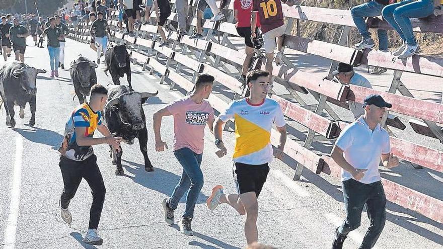 Los novillos de Rehuelga protagonizan un encierro rápido y limpio en Calasparra
