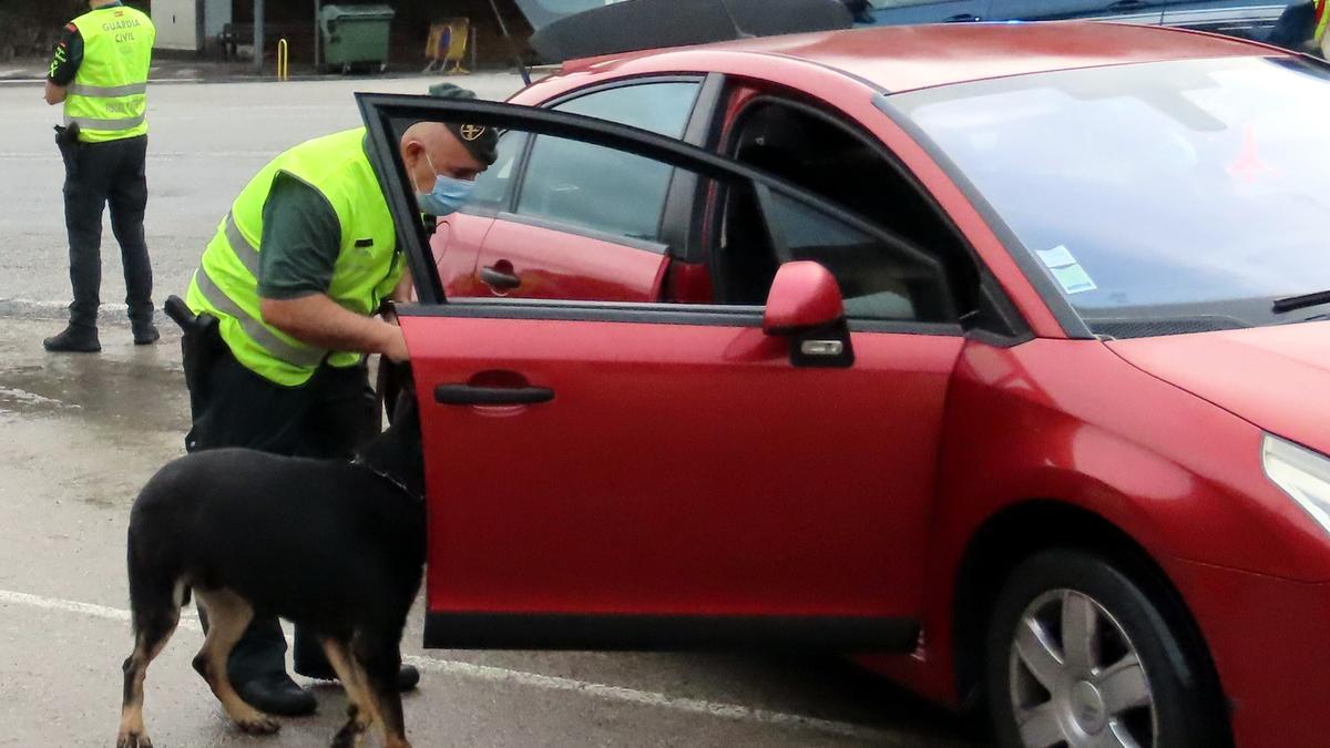 Agents amb un gos fent una inspecció per a detectar drogues