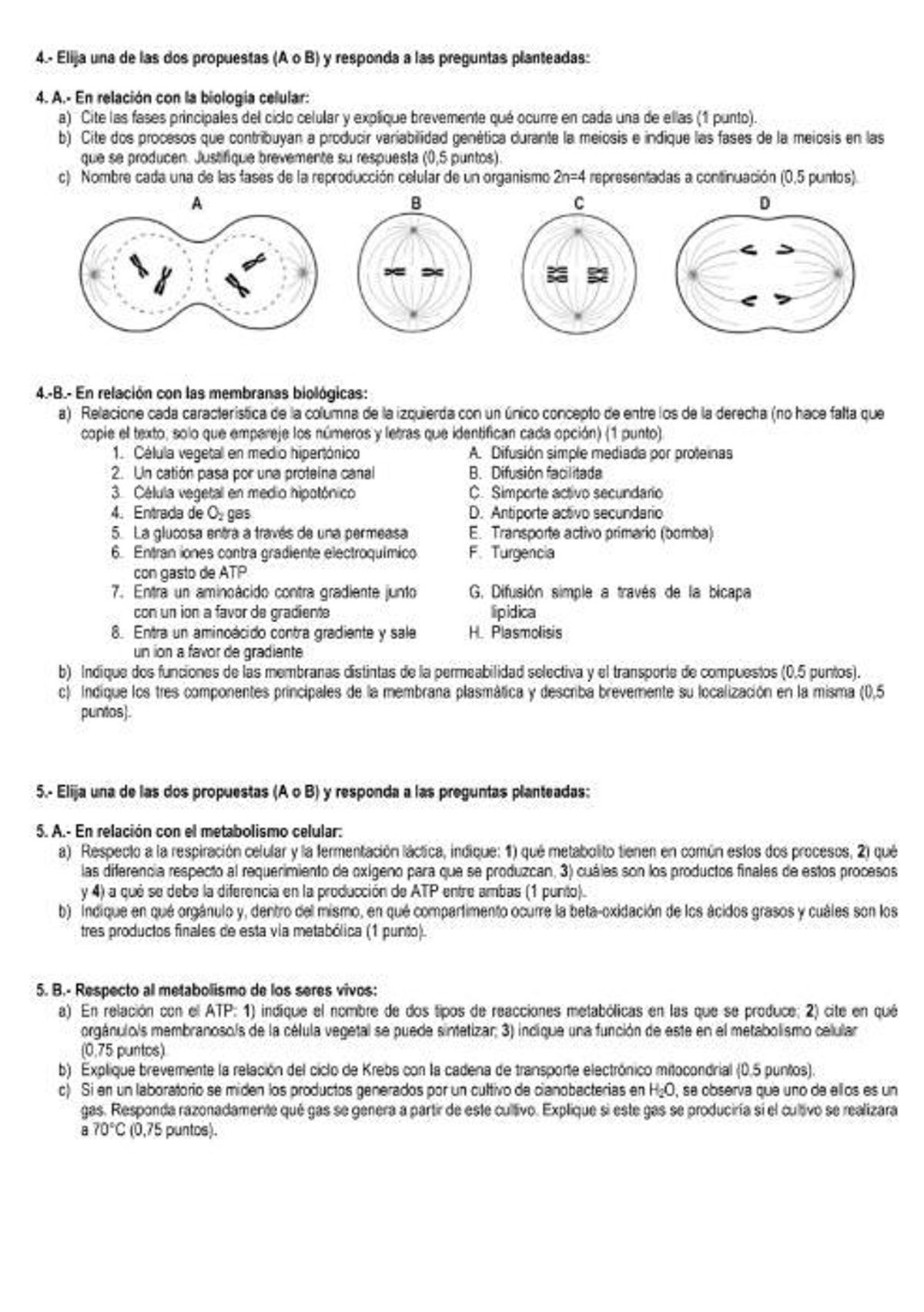 Examen de Biología de la PAU de julio de Madrid