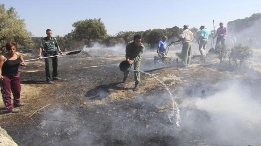 Vecinos y Guardia Civil sofocan las llamas en el incendio de Villardiegua.