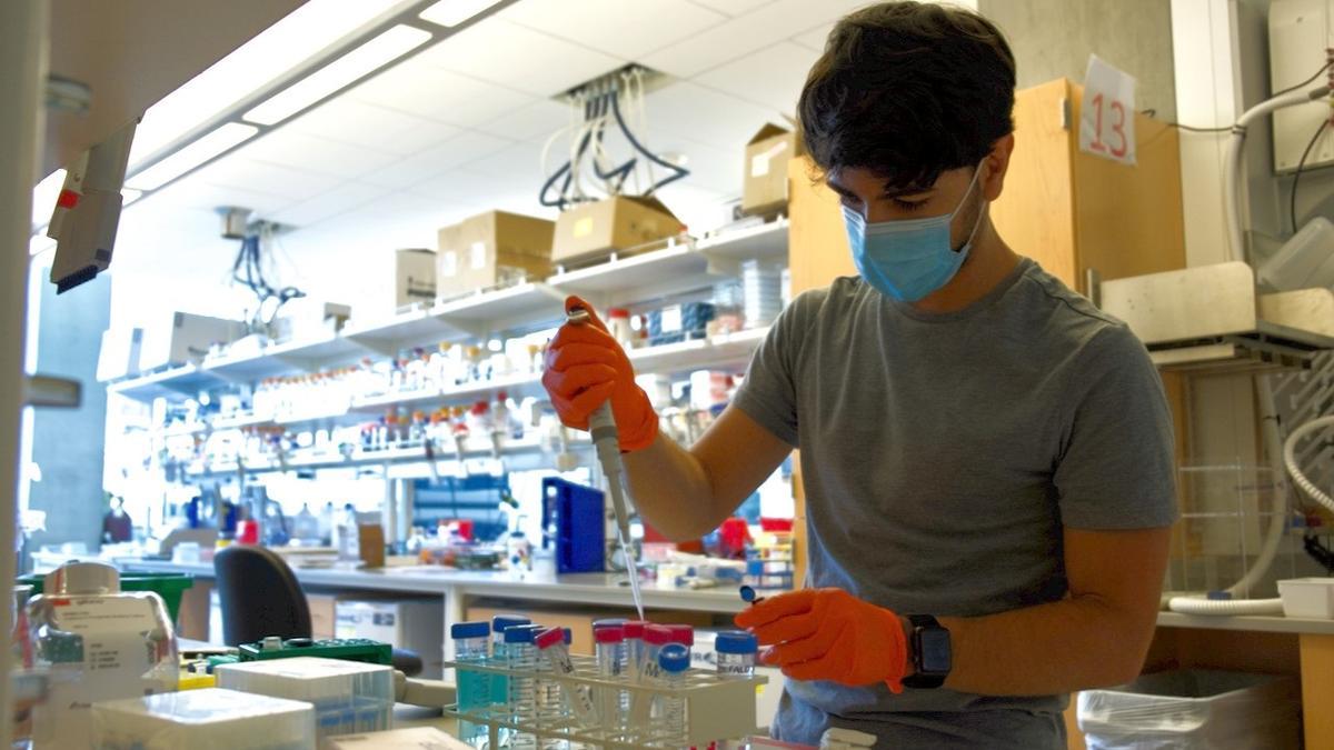 El bioingeniero valenciano Alfredo Quijano