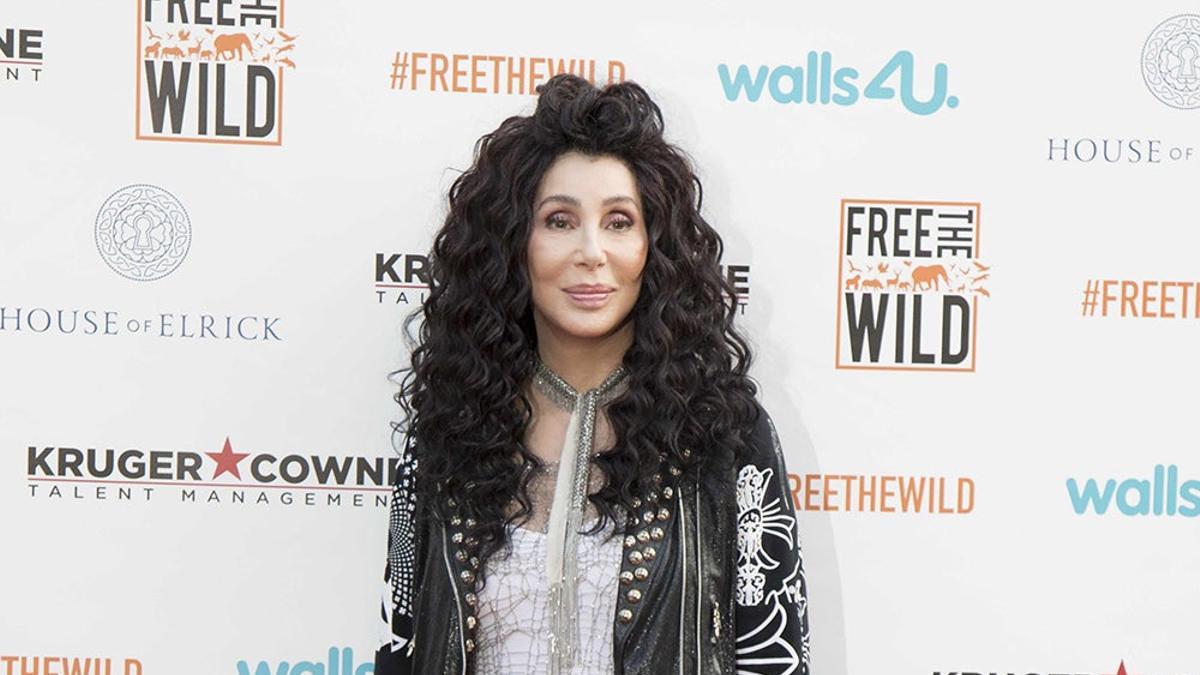 Cher durante una entrega de premios