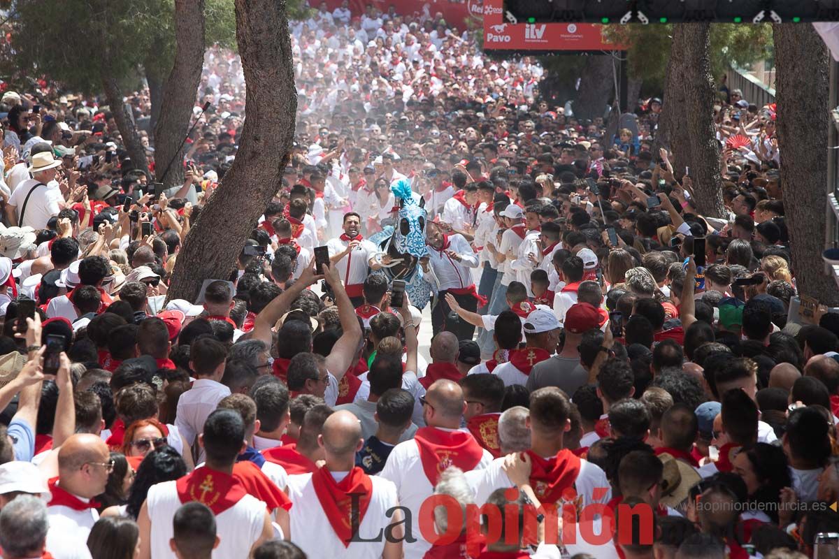 Así ha sido la carrera de los Caballos del Vino en Caravaca