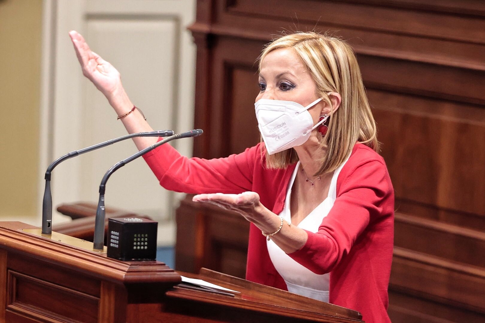 Pleno del Parlamento de Canarias