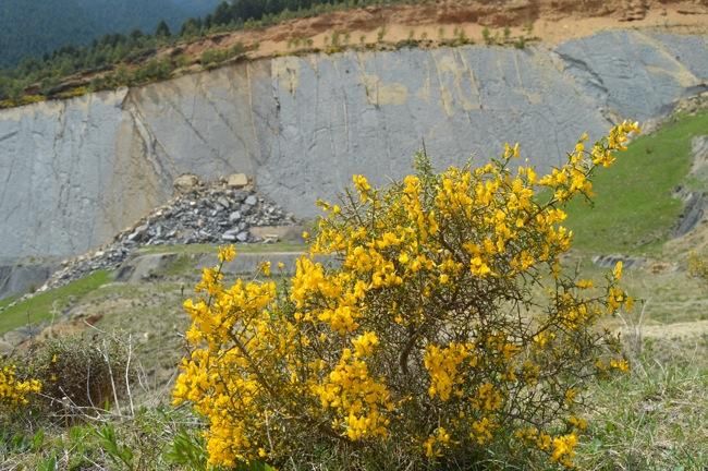 Una esllevissada destrossa les petjades de Fumanya